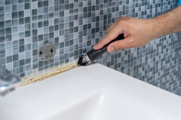 Best Mold Testing and Removal  in Breckenridge, MI